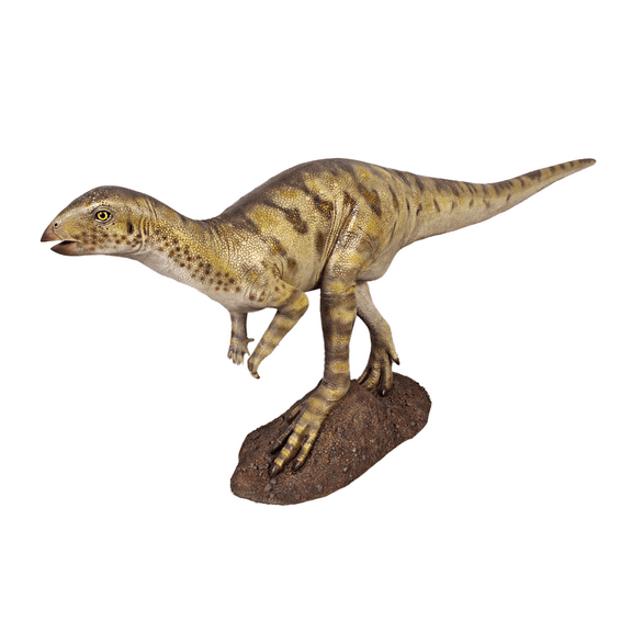 Hypsilophodont Dinosaur Life Size Statue