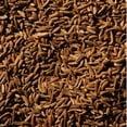 thumbnail image 5 of (6 Pack)Mccormick Whole Caraway Seed, 0.9 Oz, 5 of 8
