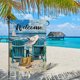 thumbnail image 1 of Summer Series Garden Flag Summer Cool Printed Patio Flag Home Welcome Flag Beach Decoration Flag, 1 of 8