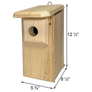 Eastern Bluebird House - Handcrafted in Maine from 1 Pine | Predator Guard Nest Box with Ventilation & Drainage | Easy Clean Side Panel | Insulated Wooden Birdhouse for Backyard Birding, USA Made