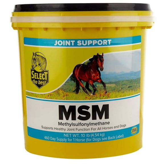 Richdel MSM Joint Support Powder 10lb
