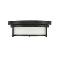 thumbnail image 3 of Trade Winds Lighting 2-Light Ceiling Light In Matte Black, 3 of 7