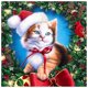 thumbnail image 1 of Cuadros Decorativos Calcetín de Navidad gato 5D DIY taladro redondo completo dibujo Kit diamante pintura regalo JShteea Nuevos Originales, 1 of 9
