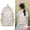 Oranges, variant on FXMLRLK 2026 Cute Preppy Bag Floral Printed Kawaii Backpack Cottagecore Aesthetic Backpack Laptop Daypack (Roses)
