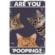 thumbnail image 1 of Placa Metal Vintage Pintura Hierro Rectangular Gato Arte Pared Bar para El 20x30cm, 1 of 9