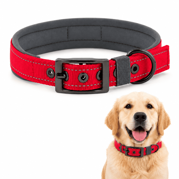 Reflective Padded Dog Collar, Adjustable Metal Buckle, Red