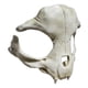 thumbnail image 3 of Máscara de goma para cosplay de Halloween, bestia blanca, soldado y hueso, 3 of 4