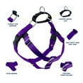thumbnail image 2 of 2 Hounds Design Freedom No Pull Dog Harness | Adjustable Gentle Comfortable Control for Easy Dog Walking | for Small Medium and Large Dogs | Made in USA | Leash Not Included | 1" MD Purple, 2 of 3