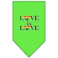 thumbnail image 4 of Pet and Dog Bandana Screen Printed, "Love Is Love", 4 of 10