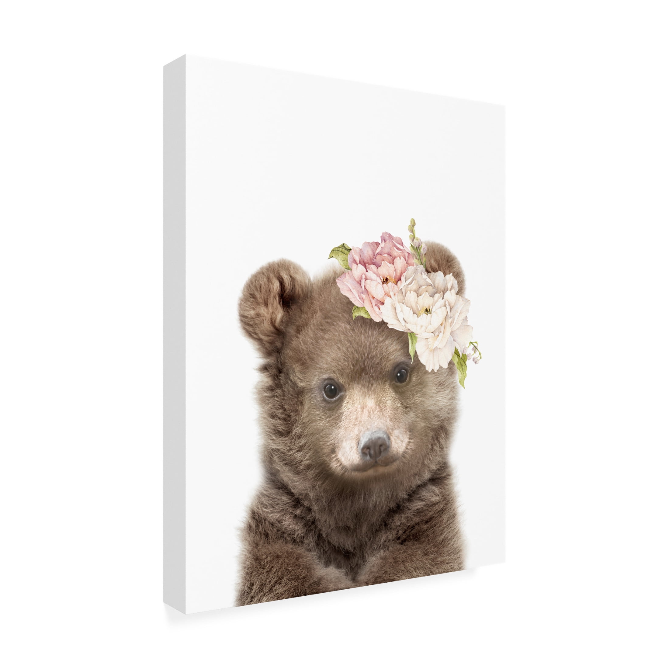 Trademark Fine Art Lola Peacock Floral Baby Bear Canvas Wall Art