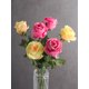 thumbnail image 2 of DII Flor Cerrada Rosa Amarilla (Juego de 4) Design Imports CAMZ33636, 2 of 2