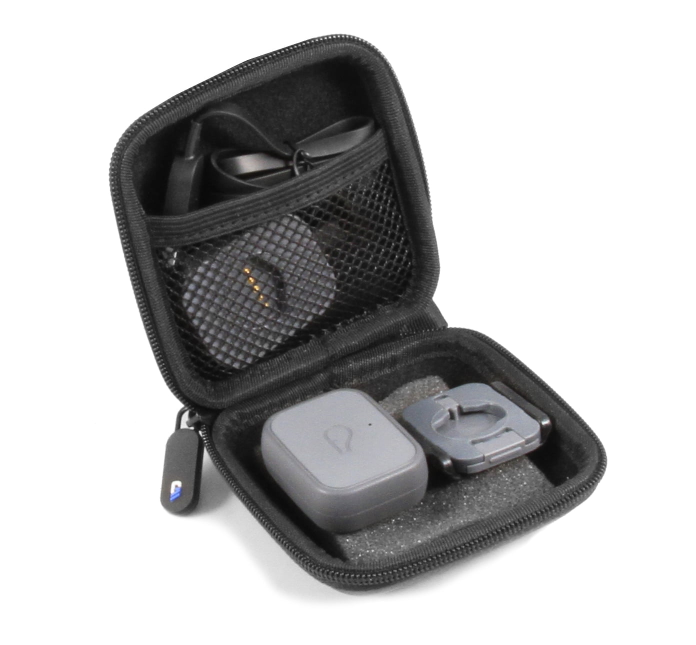 whistle 3 gps pet tracker & activity monitor