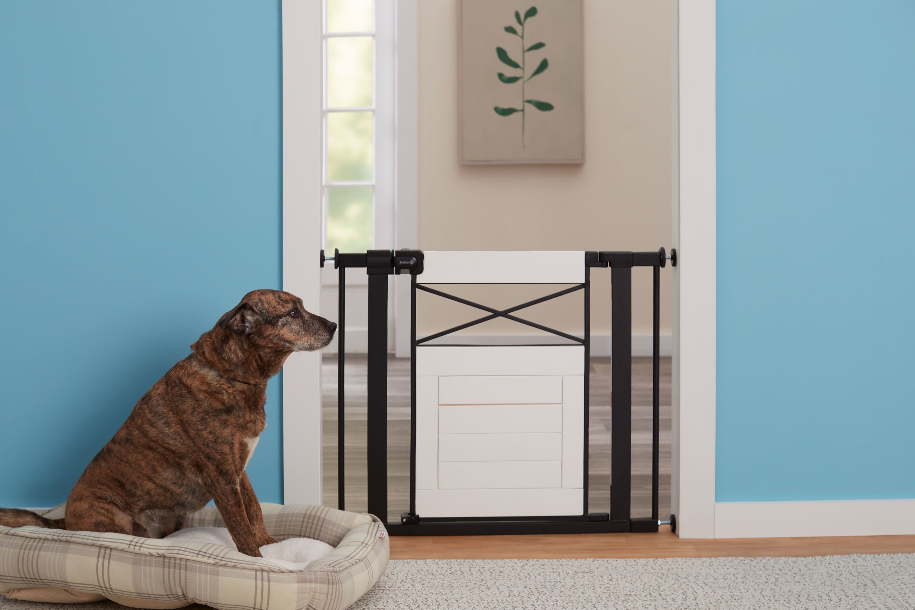 Safety 1st Modern Farmhouse Gate, White Pressure Mount photo 6