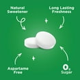 thumbnail image 3 of PUR Mints, Aspartame Free, Sugar Free & Made with Xylitol, Natural Spearmint Flavored Mints, 30 Pieces, Pack of 12, 3 of 6