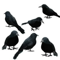 6 Pcs Halloween Black Crows Feathered Crows Realistic Looking Ravens Large Handmade Black Crow for Halloween Decoration Party Supplies Desktop Ornament