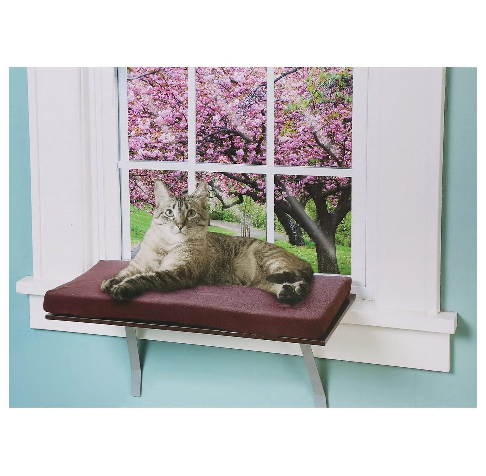 at Window Perch seat: Sunny Kitty Window Sill Shelf, with Fleece Foam Cushion & Washable Cover