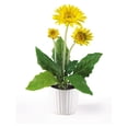thumbnail image 5 of Nearly Natural Gerber Daisy w/White Vase (Set of 6), 5 of 5