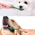 thumbnail image 3 of Pet Republique Extra Small Breed Toothbrush Kit for Dogs & Cats, 1/4” PointedBrush, 1/4” FlatBrush, 3/8” RegularBrush (3-Piece Kit); Works on Yorkie, Chihuahua, Pomeranian, and Miniature Breeds, 3 of 5