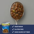 thumbnail image 3 of Progresso Lentil Soup, Vegetable Classics Canned Soup Gluten Free 19 oz (Pack of 3), 3 of 5