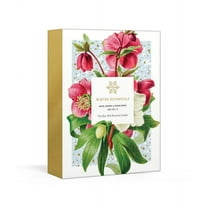 New York Botanical Garden: Winter Botanicals : Note Cards and Envelopes: Set of 12 (Cards)