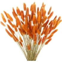 Tutuviw 60 Pcs Dried Bunny Tails Flowers, Lagurus Ovatus Tail Dried Flowers Arrangement, Pampas Grass for Fall Decor Autumn Wedding DIY Farmhouse Christmas, Orange