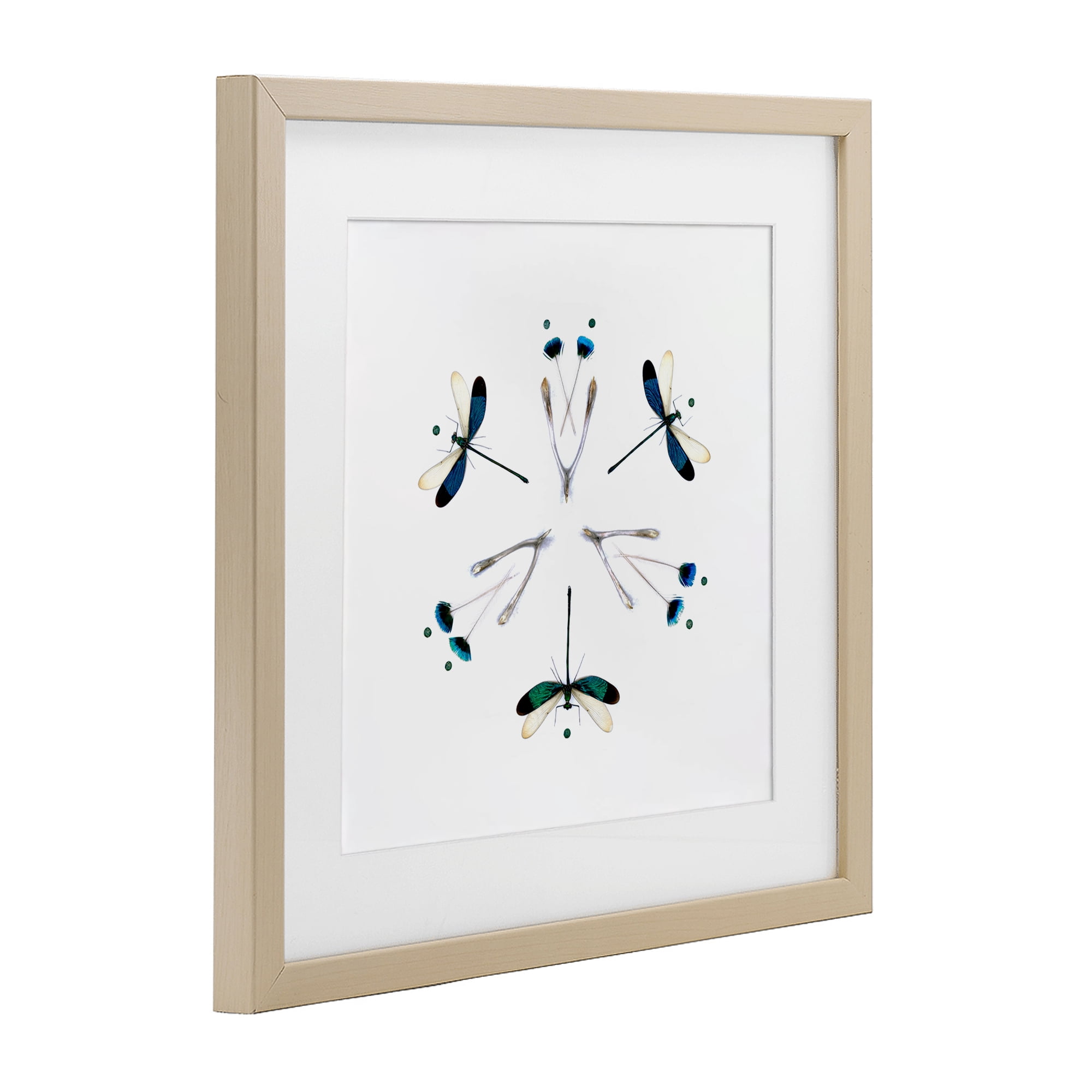 Stupell Industries Simple Dragonfly Symmetry Birch Framed Print Under Glass, design by Beth Adoette