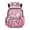 Pink Ice Cream Axolotl, variant on Aplkyhs Backpack for Kids Teens Age 6-18 School Bag with Large Capacity Durable Lightweight Water Resistant Bookbag Ice Cream Capybara