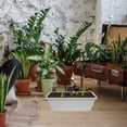 thumbnail image 4 of 1 Set of Household Window Box Planter Resin Vegetable Pot Flower Planting Holder, 4 of 8