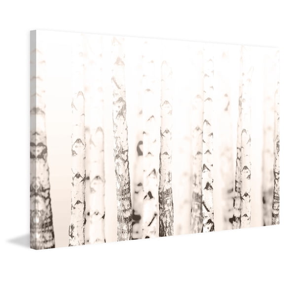 Birchwood Painting Print on Wrapped Canvas