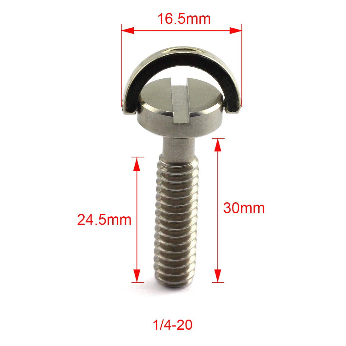 Camera Screw 1/4-Inch Camera Mounting Screw Standard 1/4-20 Male Threaded Tripod Screw D-Ring Stainless Steel Camera Fixing Screws for Camera Tripod Monopod Quick Release Plate Etc Camera Accessory