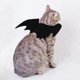 thumbnail image 5 of Disfraz de Halloween para gatos, mascotas, ala de murciélago con cascabeles en forma de calabaza, accesorio para cachorros, gatitos, suministros para disfraces de fiesta de Halloween (L) Sincero  Hogar, 5 of 8