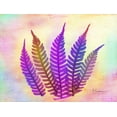 thumbnail image 2 of Koetsier, Albert 32x25 White Modern Wood Framed Museum Art Print Titled - Retroluxed Fern, 2 of 4