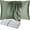 Green, variant on DISANGNI 100% Natural Mulberry Silk Pillow case for Hair and Skin with Hidden Zipper 22 Momme Both Sides Real Silk Pillow Case (1 pc Standard Size 20"x26", Green)