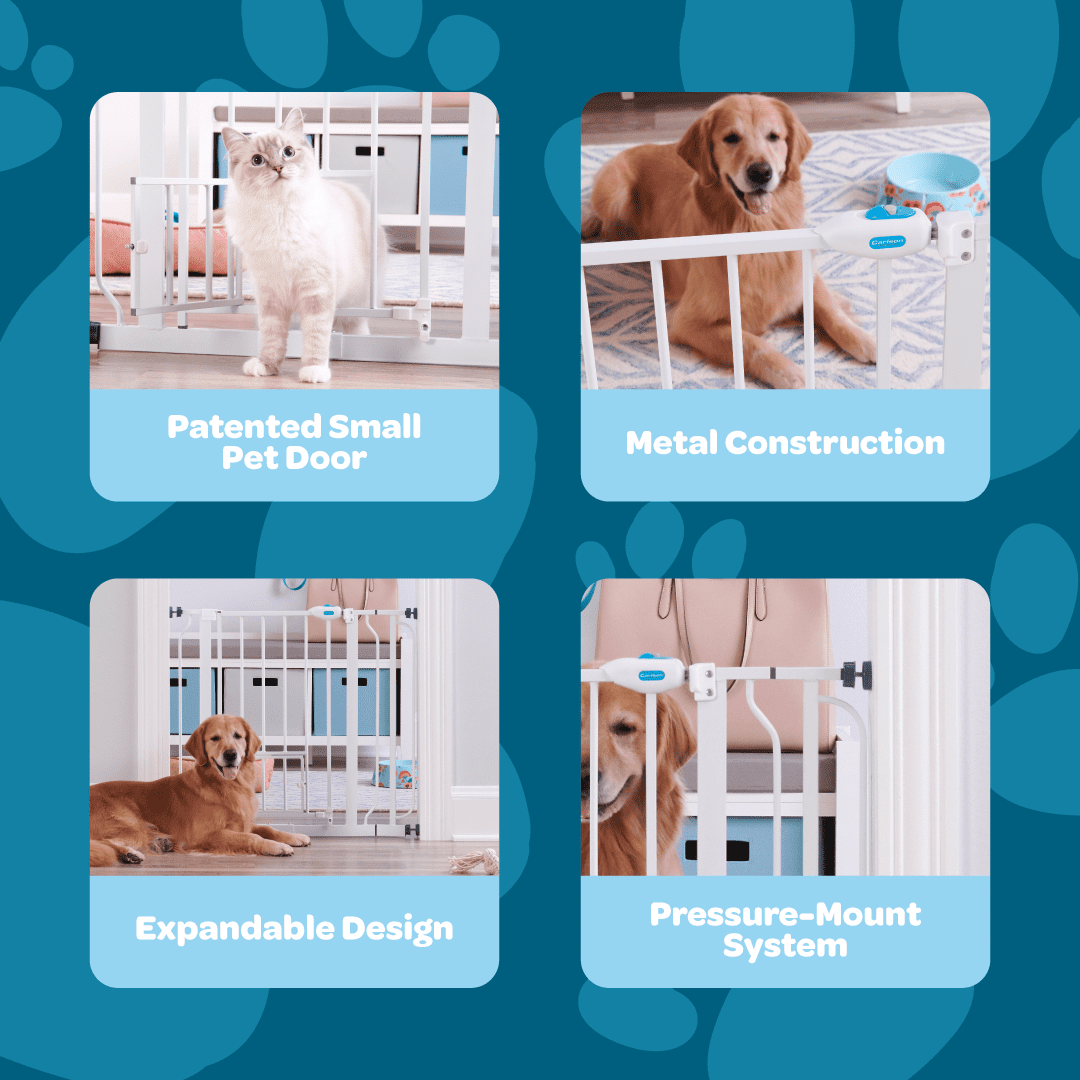 Carlson Pet Products Metal Dog Gate with Walk-Through and Additional Small Door, 31" Tall, White