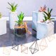 thumbnail image 2 of Terrario de vidrio con estaciones de propagación, planta con forma geométrica, soporte de hierro, soporte para plantas de aire, decoración para el hogar y la oficina., 2 of 8