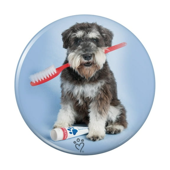 Schnauzer Puppy Dog with Toothbrush Dentist Kitchen Refrigerator Locker Button Magnet