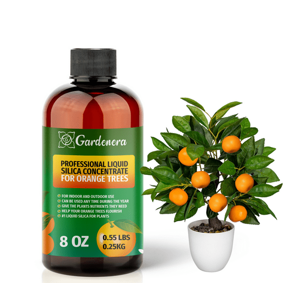 β PREMIUM Bioavailable Silica Fertilizer for Orange Trees β 8oz β Ideal for Hydroponics & Soil β Healthier Plants with Strong Stalks - CONCENTRATE