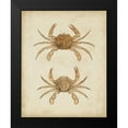 thumbnail image 2 of Sowerby, James 15x18 Black Modern Framed Museum Art Print Titled - Crustaceans VI, 2 of 5
