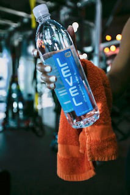 Level Water  (Ultra-Purified Water+) 1L, Ionic Minerals Added For Taste and Hydration, 9.0+ pH, 12/case