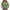 Green 4, variant on Sawvnm Women's Plus Size Fashion Casual Solid Button V Neck T-shirt Tops Blouse Green XXXL Gift for Adults