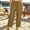 Coffee, variant on Olyvenn Women's Casual Loose Pants, Elastic Drawstring Waist, Lightweight Summer Trousers with Pockets for Outdoor Coffee L