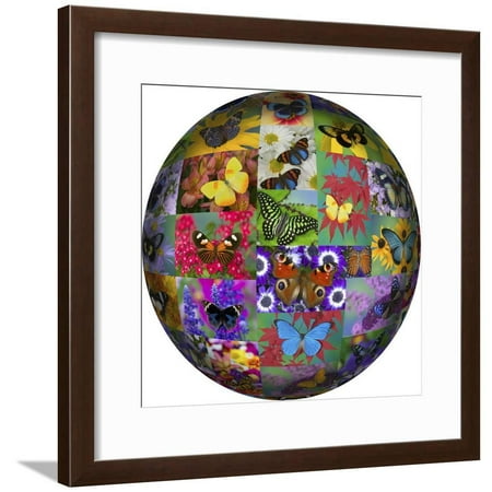 Photoshop designed globe with numerous butterfly photographs Framed Print Wall Art By Darrell (Best Photoshop Effects For Photos)