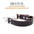thumbnail image 6 of GASTROPOD Leather Dog Training Collar, Martingale Dog Collar with Stainless Steel Chain, Gentle Paws Calming Collars, Medium, 6 of 9