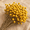 Yellow-30mm-120pcs, variant on 30dried Flowers Craspedia Billy Ballsons Flbouquet For Flower Arrangements Wedding Home Tall Vase Decor Yellow