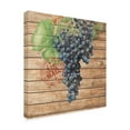thumbnail image 2 of Trademark Fine Art 'Grape Crate I' Canvas Art by Nobleworks Inc., 2 of 3