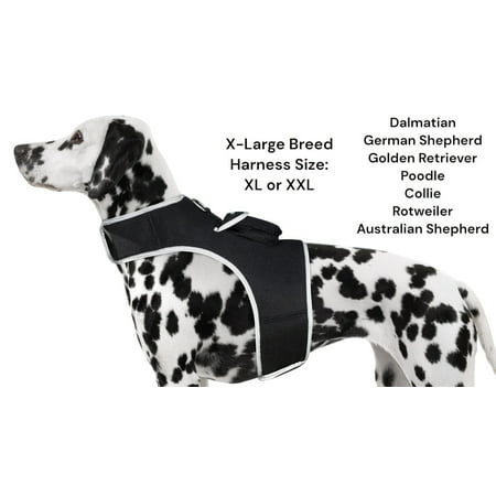 Rechargeable Realtime Tracker w/ Perimeter Fencing Capable Pet GPS App Size:XL