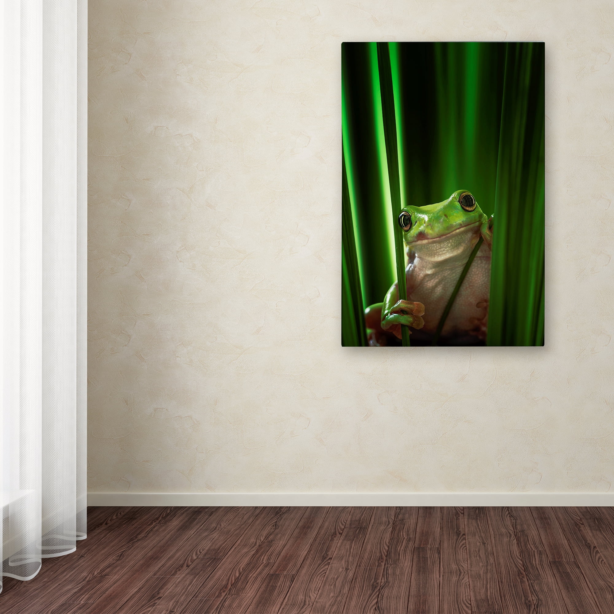 Ahmad Gafuri 'Green Frog' Canvas Art