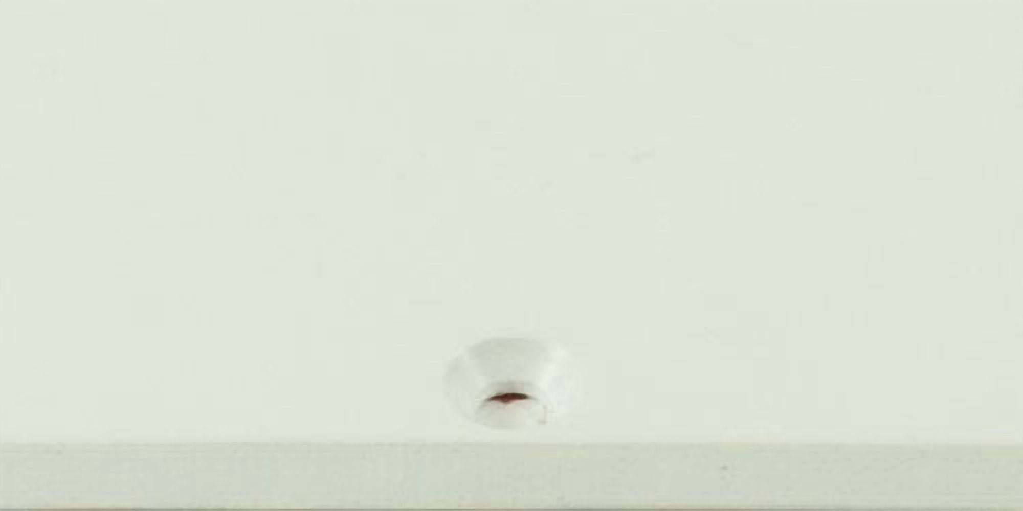 WD Custom Pickguard For Fender Stratocaster #02 White