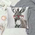 thumbnail image 2 of Orinice Academic Donkey Graphic Decorative Pillow Cover for Couch Living Room Bed Sofa, Cotton Linen Cushion Throw Pillowcase, 1PC 12x12in, 2 of 5