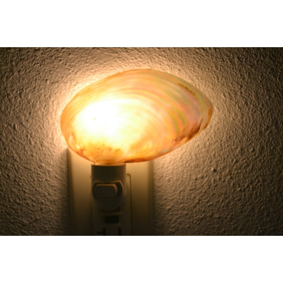 Pearlized River Seashell Nightlight